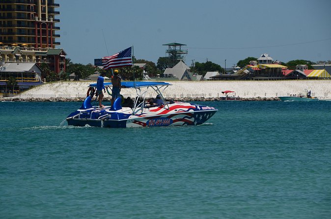Private Speed Boat Charter with Experienced Captain - Dolphins, sharks, and the appeal of wildlife