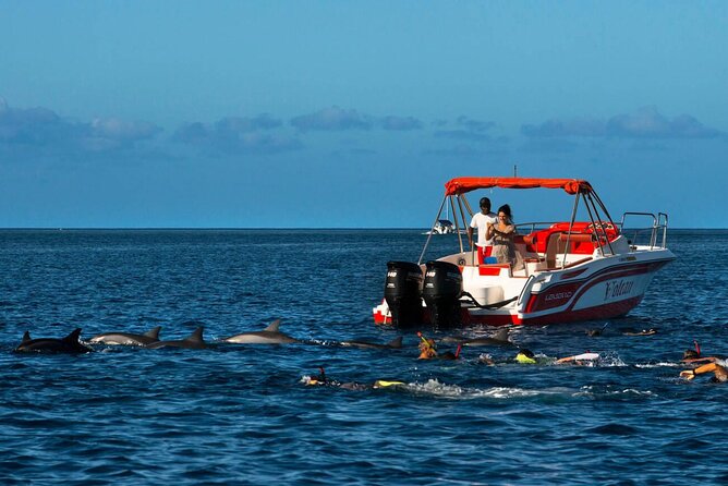Private Speed Boat Experience To Dolphin House in Hurhgada - At a glance: what makes this trip worth considering