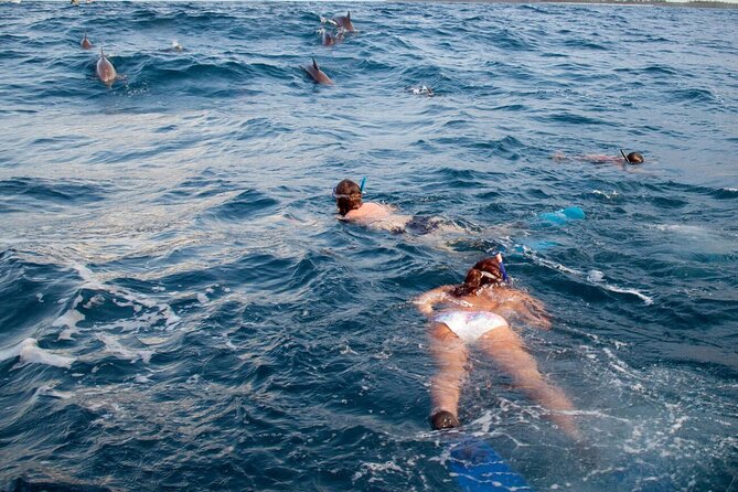 Private Speed Boat Experience To Dolphin House in Hurhgada - What the $75 price really buys