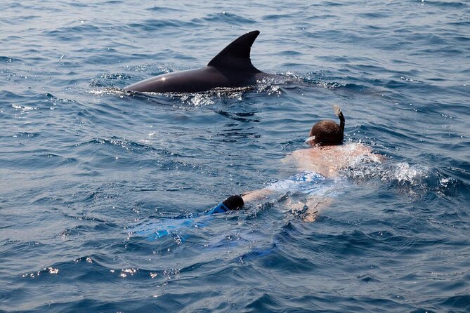 Private Speed Boat Experience To Dolphin House in Hurhgada - Who will enjoy this Hurghada boat trip most?