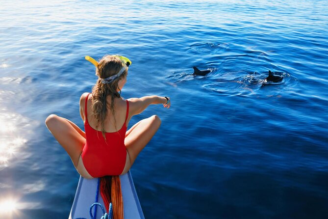 Private Speed Boat Experience To Dolphin House in Hurhgada - Practical advice before you book