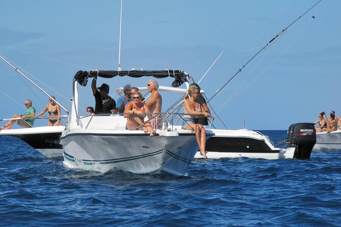 Private Speed Boat Experience To Dolphin House in Hurhgada - Reaching Dolphin House and looking for dolphins