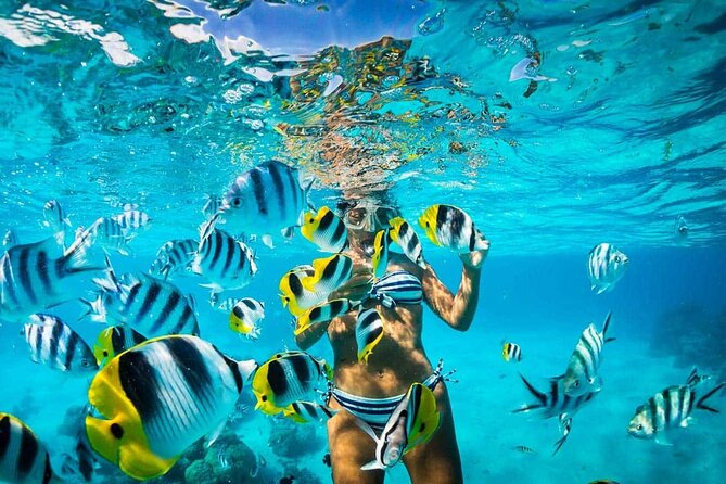 Private Speed Boat Experience with Snorkeling in Punta Cana - Is $79 a fair price?