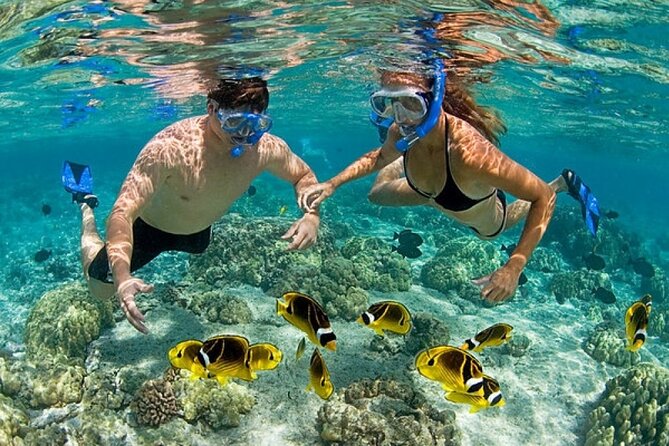 Private Speed Boat Experience with Snorkeling in Punta Cana - What happens during the 2 hours 30 minutes