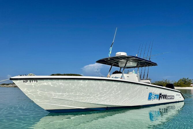 Private Speed Boat for Snorkeling or Fishing in Nassau - 34ft - Key points at a glance