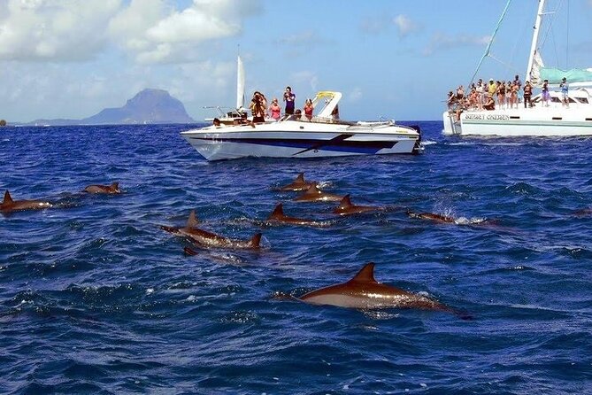 Private Speed Boat Tour and Dolphin Encounter at Ile aux Benitier - Ile aux Benitiers and the long lunch break