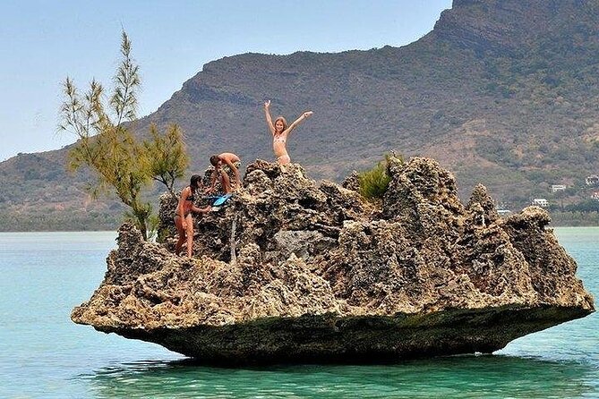 Private Speed Boat Tour and Dolphin Encounter at Ile aux Benitier - What the private format really gives you