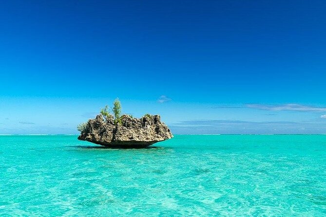 Private Speed Boat Tour and Dolphin Encounter at Ile aux Benitier - Food, drinks, and comfort on the island