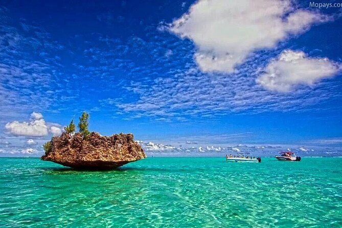Private Speed Boat Tour and Dolphin Encounter at Ile aux Benitier - Who will enjoy this tour most?