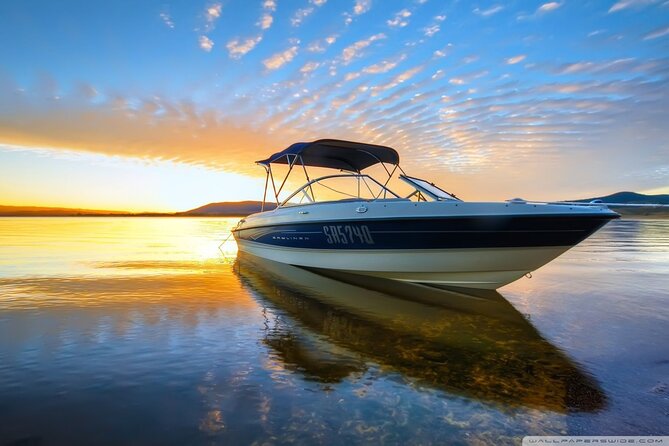 Private Speed Boat Tour and Dolphin Encounter at Ile aux Benitier - Swimming with dolphins near Tamarin Bay