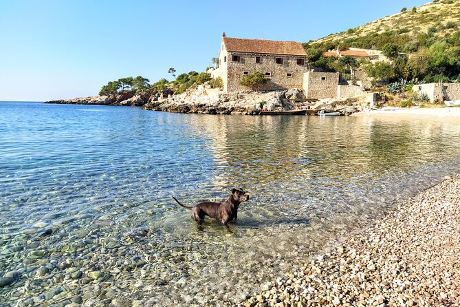 Private Speed Boat Tour of Hvar South Shore & Pakleni islands - Mala Milna and Velo Borče add flexibility