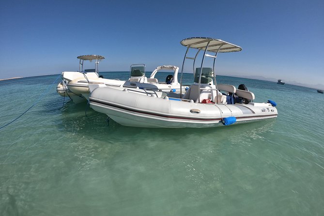 Private Speed Boat Trip In Hurghada - Timing, transport, and comfort tips