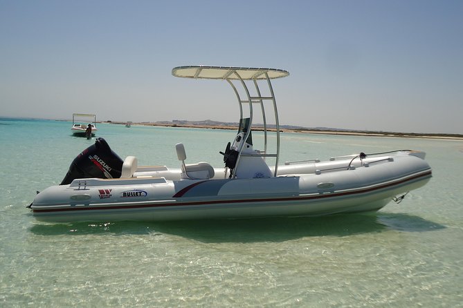 Private Speed Boat Trip In Hurghada - Who will enjoy this speedboat most