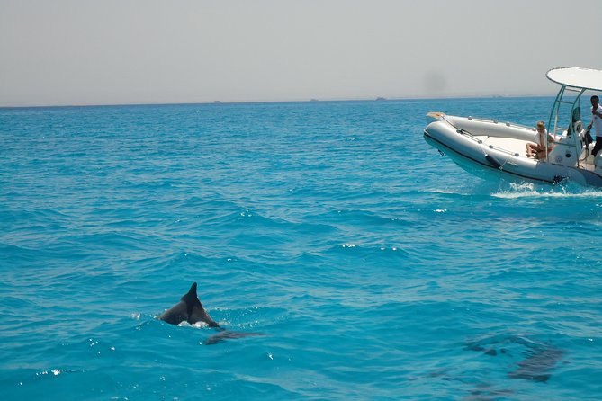 Private Speed Boat Trip In Hurghada - A practical look at the four-hour schedule