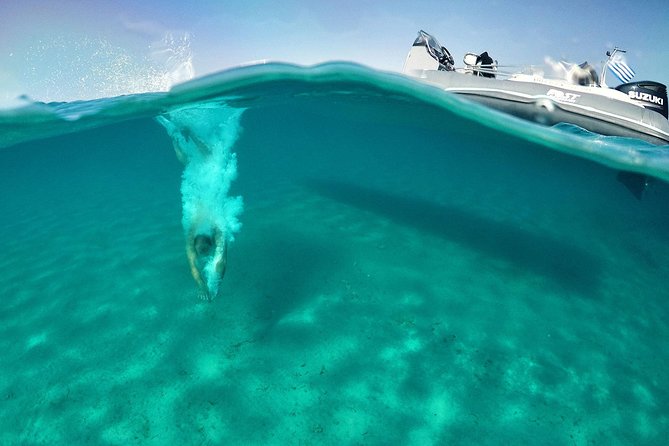 Private Speedboat Cruise from Delos to Rhenia and Mykonos - What you are paying for at $1,982.41