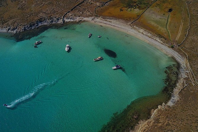 Private Speedboat Cruise from Delos to Rhenia and Mykonos - Elia and Kalo Livadi: a scenic beach circuit
