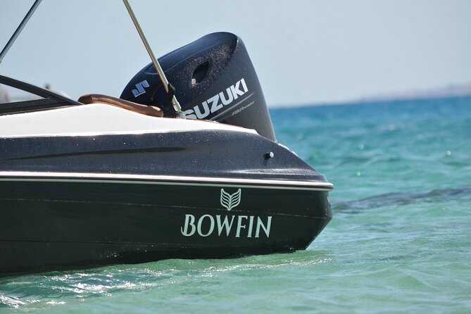 Private Speedboat Dolphins and Snorkelling Cruise in Hurghada - What the $10 price really means