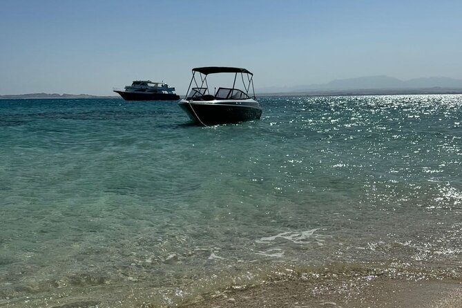 Private Speedboat Dolphins and Snorkelling Cruise in Hurghada - Pickup, crew, and the practical rhythm