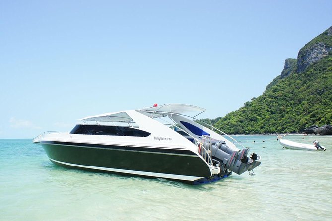 Private Speedboat Koh Tan & Pig Island Snorkeling from Samui - Pickup, timing, and the return to Samui