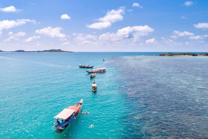 Private Speedboat Koh Tan & Pig Island Snorkeling from Samui - The best reasons to book