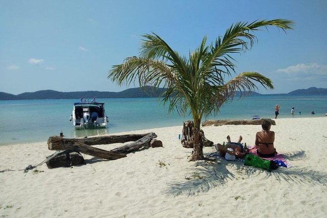 Private Speedboat Koh Tan & Pig Island Snorkeling from Samui - Pig Island and Koh Madsum for the beach break