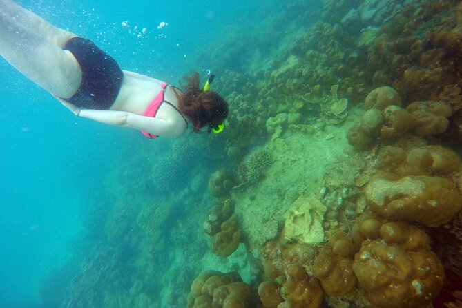 Private Speedboat Maiton, Racha, and Coral Islands Tour from Phuket - Coral Island gives you two hours for sea sports