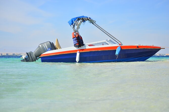 Private Speedboat to Abu Munkar Island and Snorkeling - Hurghada - Snorkeling near coral reefs and colorful fish