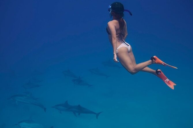 Private Speedboat To Dolphin House With Parasailing - Hurghada - What makes the $80 price fair
