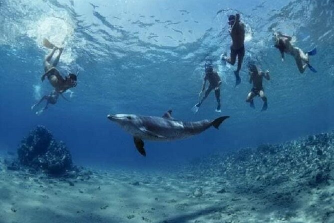 Private Speedboat To Dolphin House With Parasailing - Hurghada - The crew and the private-tour advantage
