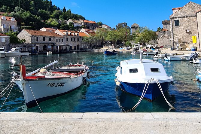Private Speedboat Tour - What the guide adds to the day