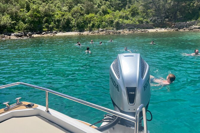 Private Speedboat Tour from Zadar: Scenic Bays & Island Villages - Who will enjoy this most?