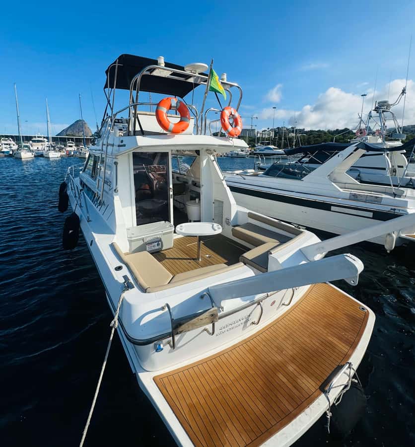 Private speedboat tour in Rio de Janeiro - Key points to know before booking