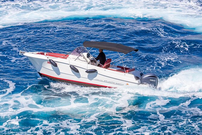 Private Speedboat Tour to Elafiti Islands - Koločep brings the first taste of island life