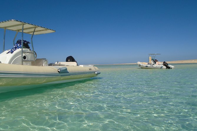 Private Speedboat Trip In Hurghada - Snorkeling among Red Sea fish and coral