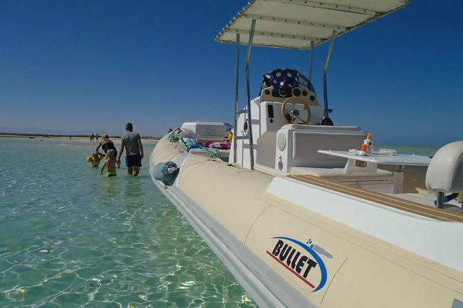 Private Speedboat Trip In Hurghada - What service is like onboard