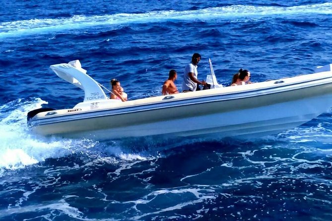 Private Speedboat Trip To Dolphin House In Hurghada - Leaving Hurghada at 8:00 a.m.