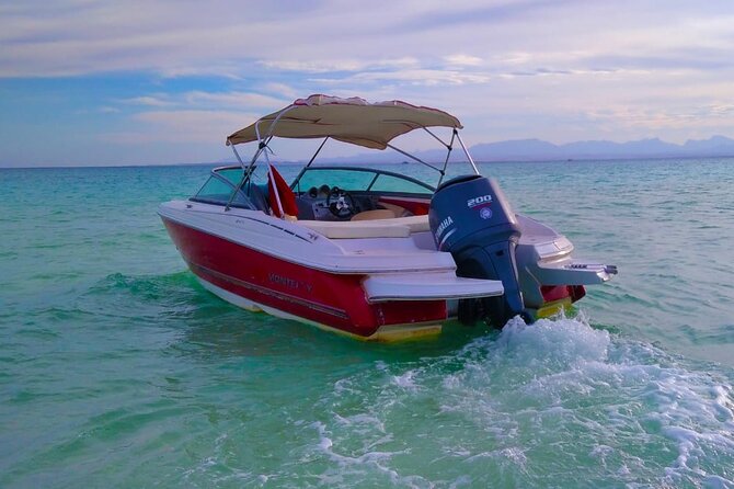 PRIVATE TOUR ! 4-Hours Swiming with dolphins, snorkeling, island by speed boat - Why a private Hurghada boat makes sense