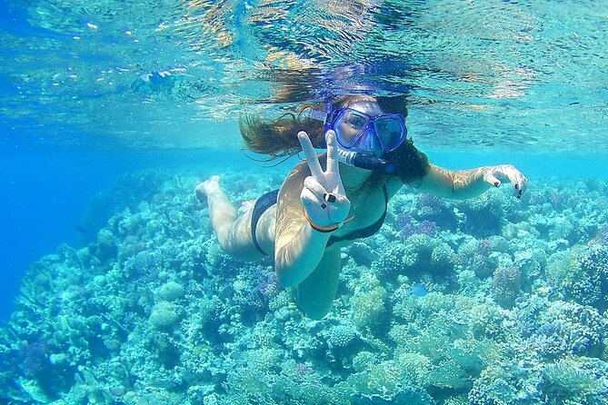 PRIVATE TOUR ! 4-Hours Swiming with dolphins, snorkeling, island by speed boat - Abu Minquar Island and the shipwreck
