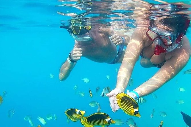 PRIVATE TOUR ! 4-Hours Swiming with dolphins, snorkeling, island by speed boat - What is included, and what you still need to arrange