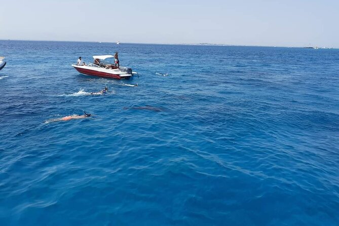 PRIVATE TOUR ! 4-Hours Swiming with dolphins, snorkeling, island by speed boat - Who will enjoy this most