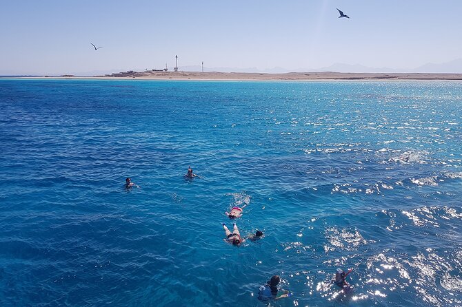 PRIVATE TOUR ! 4-Hours Swiming with dolphins, snorkeling, island by speed boat - Snorkeling at Al Fanadir Reef
