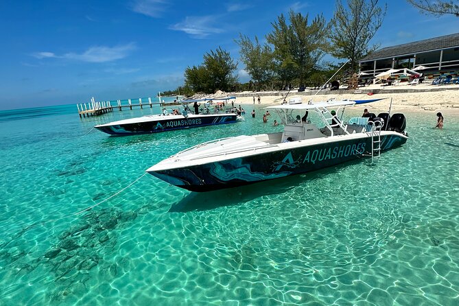 Private Tour 45ft Powerboat to Nearby Islands - Swimming pigs at Rose Island