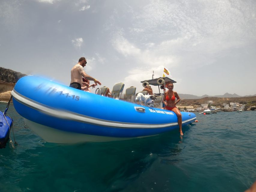Puerto Colon: Dolphin and Whale Watching Speedboat Cruise - The speedboat ride along South Tenerife
