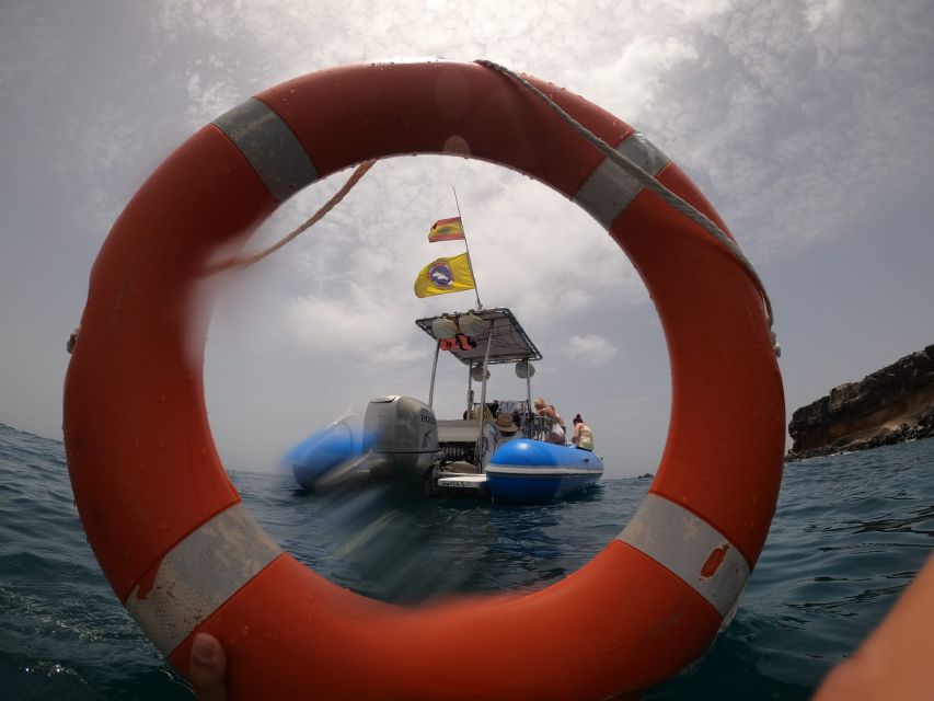 Puerto Colon: Dolphin and Whale Watching Speedboat Cruise - Sandwich, drink, and the practical value of lunch