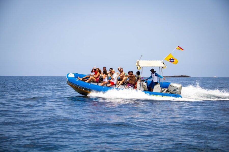 Puerto Colon: Dolphin and Whale Watching Speedboat Cruise - Who will enjoy this outing most