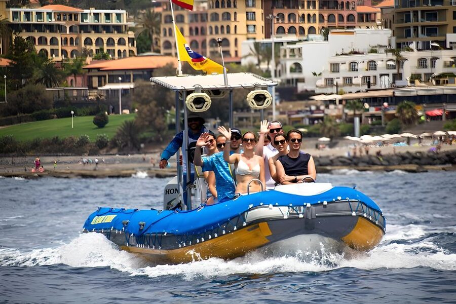 Puerto Colon: Dolphin and Whale Watching Speedboat Tour - Key Points Before You Book