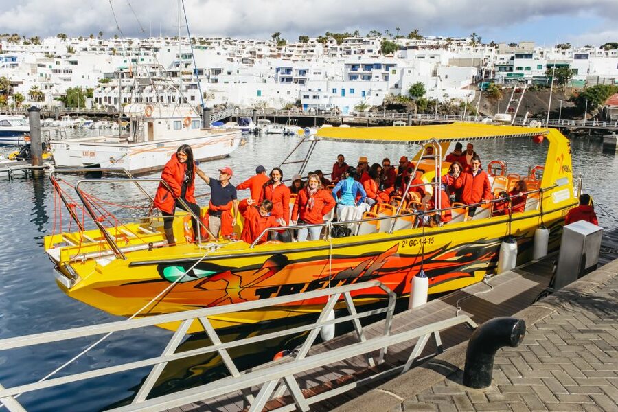 Puerto del Carmen: Dolphin-Watching Speedboat Tour with Swim - What a dolphin encounter may look like