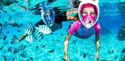 Dolphin-Watching Speedboat Tour with Swim