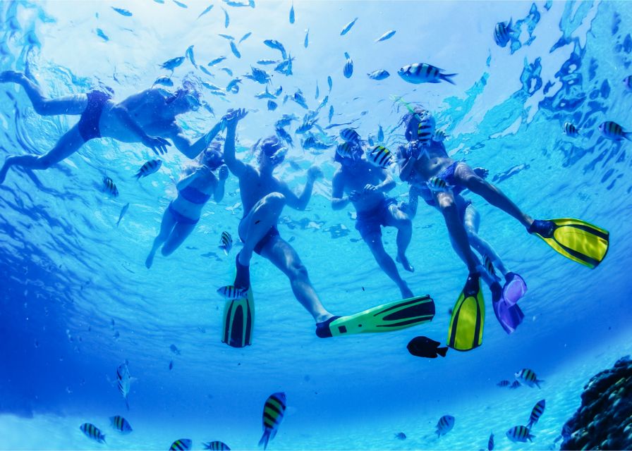 Puerto del Carmen: Dolphin-Watching Speedboat Tour with Swim - The crew makes a short tour feel personal