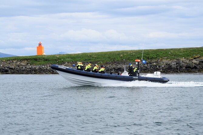 Puffin Express by RIB Speedboat from Reykjavík - Key points to know before you book
